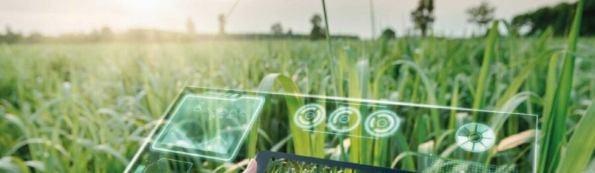 Agricultura de Precisión: ¿Cómo la tecnología está transformando la producción de alimentos?