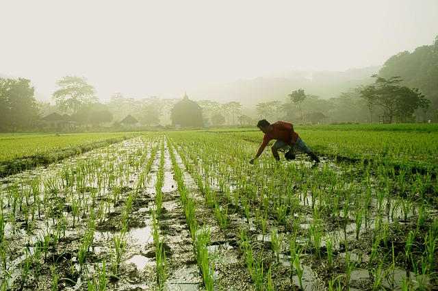 Los tanques verticales para agua tienen muchas ventajas para el campo agrícola.