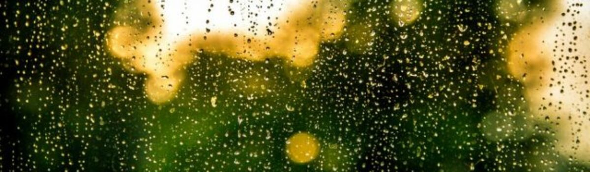 Captación de agua pluvial y sus beneficios