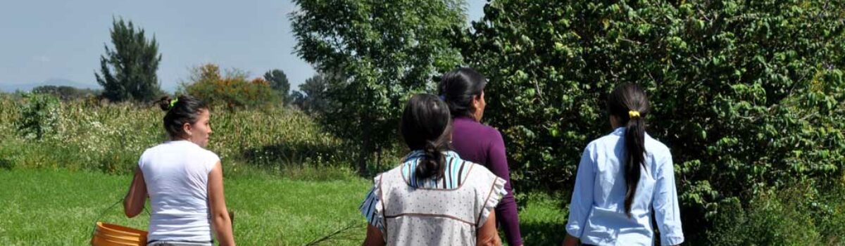 Con Rotoplas las soluciones para la falta de agua son tarea sencilla
