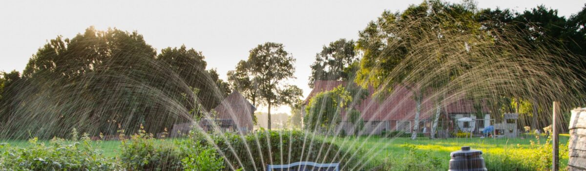 ¿Cómo cuidar el agua? 7 tips
