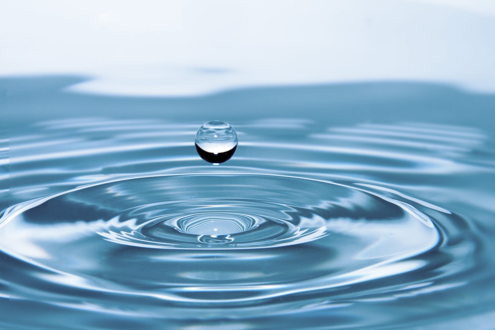 ¿Cómo se purifica el agua?