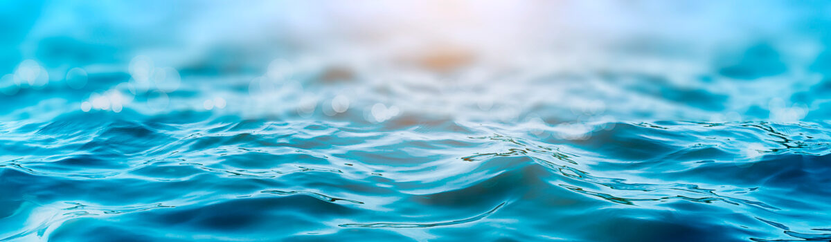 Rotoplas se une a las iniciativas de The CEO Water Mandate