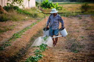 El agua que se almacena por medio de la captación de agua pluvial se puede utilizar para las actividades de limpieza en el hogar, para dar mantenimiento al jardín, para el servicio del baño, entre otras actividades de uso doméstico