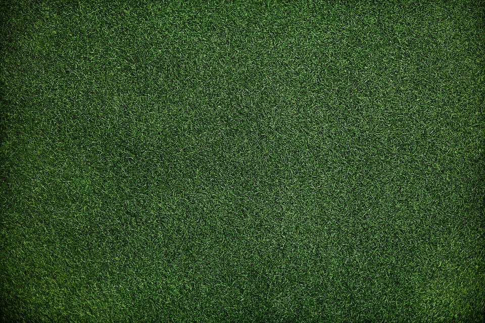 áreas verdes