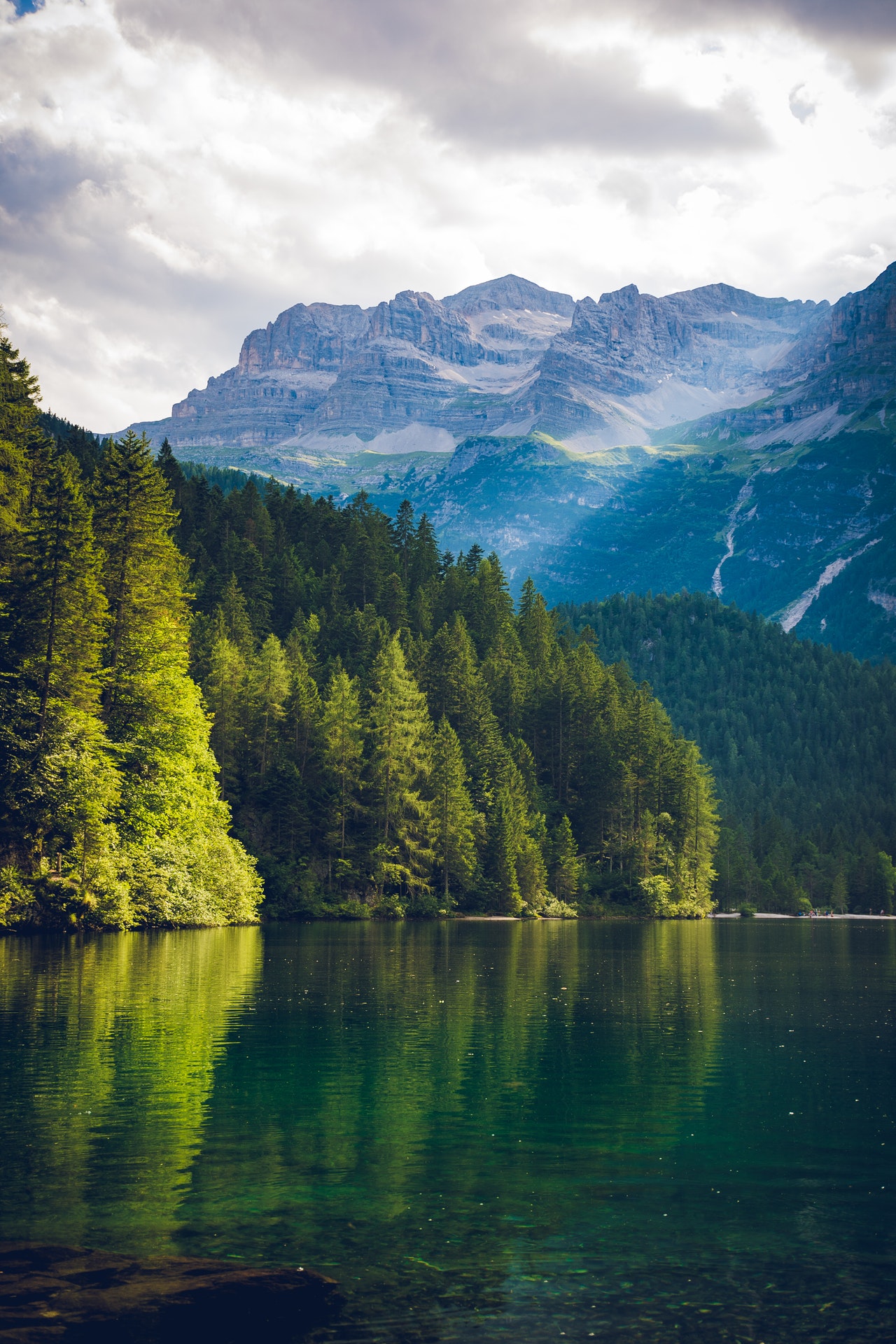 Naturaleza