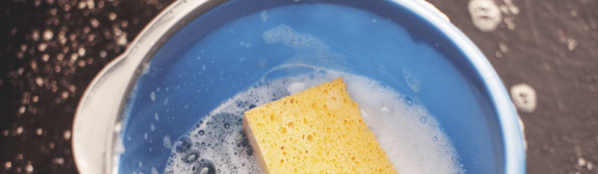 6 formas de ahorrar agua que no conocías