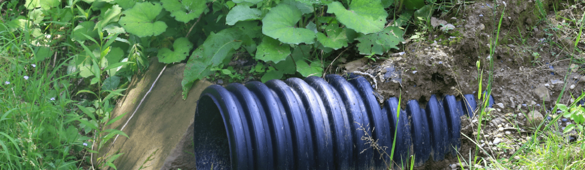 Biodigestor: El proceso de tratamiento de aguas residuales para comunidades rurales y urbanas