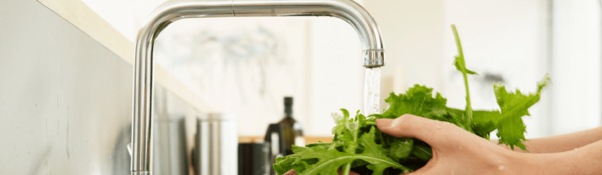 ¿Por qué es tan importante el lavado de alimentos?