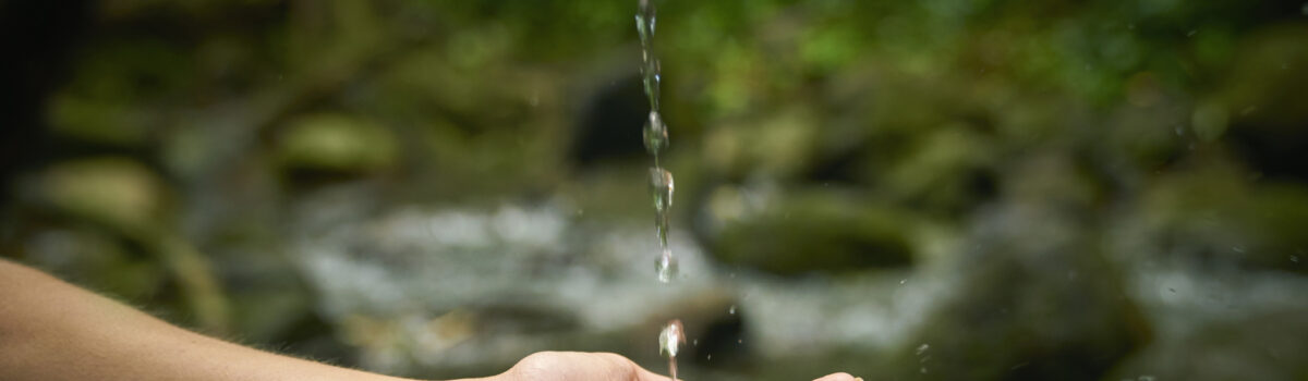 ¿Cuál es la importancia del agua en nuestras vidas y cómo preservarla mejor?