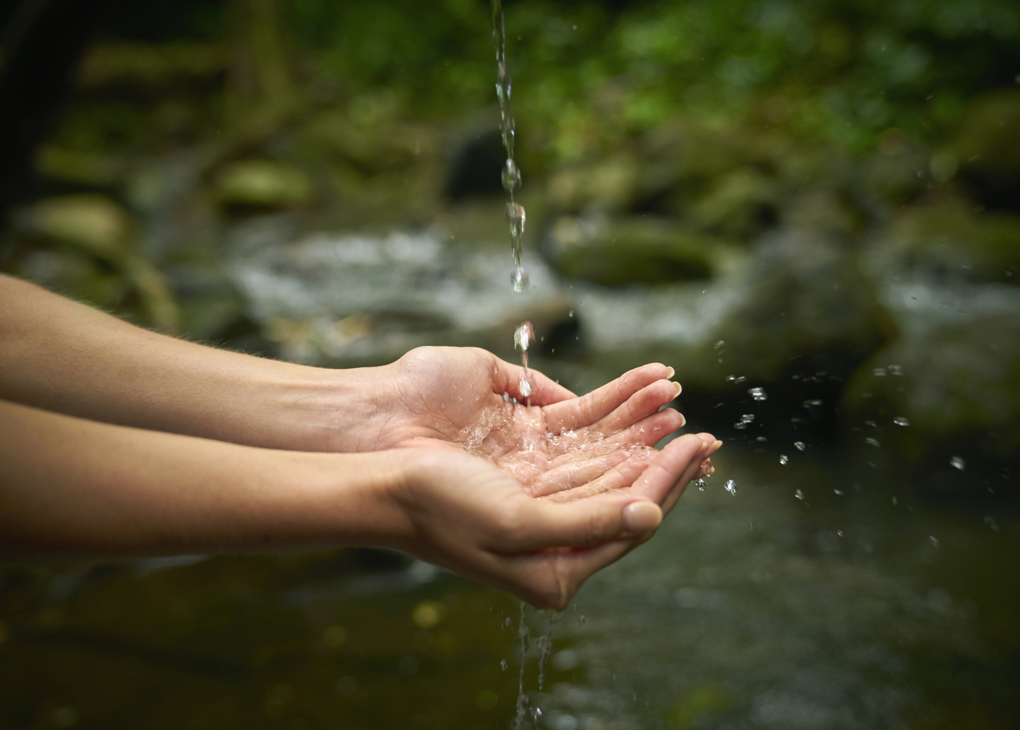 ¿Cuál es la importancia del agua en nuestras vidas y cómo preservarla mejor?