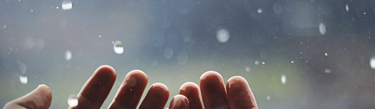 ¿Cómo almacenar agua durante la temporada de lluvias?