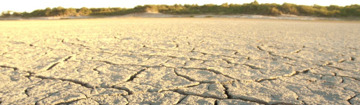 Importancia de tomar medidas en contra de las crisis del agua