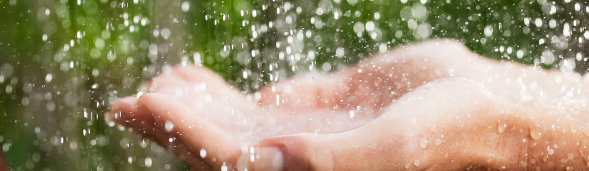 ¿Cómo captar el agua de lluvia en casa?