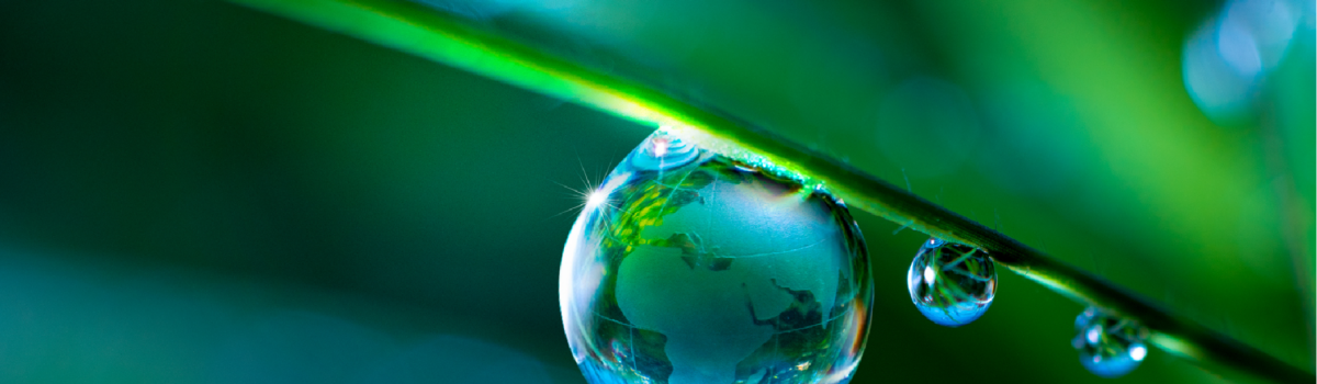 3 Productos para ser más amigable con el ambiente este 2023