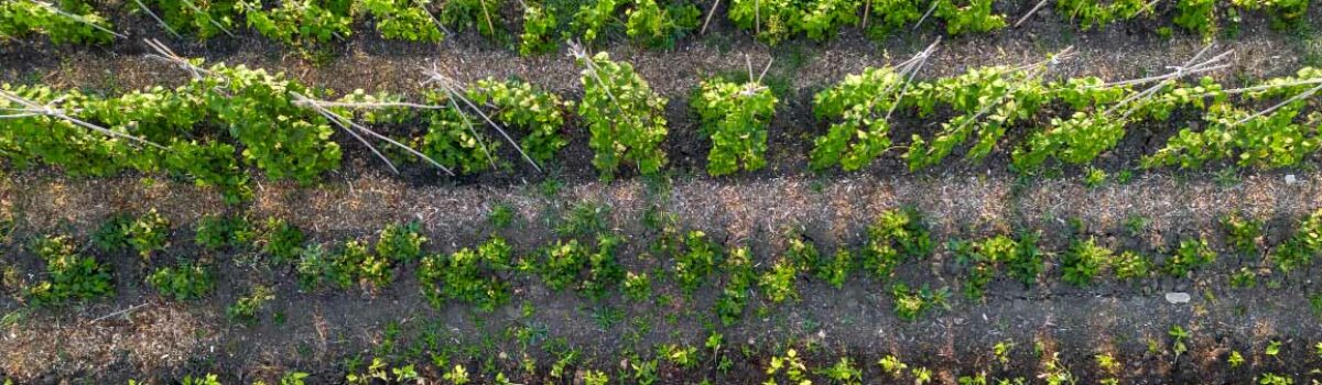 ¿Qué son las aguas agrícolas?