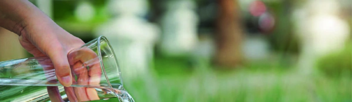 5 pasos del proceso de purificación de agua